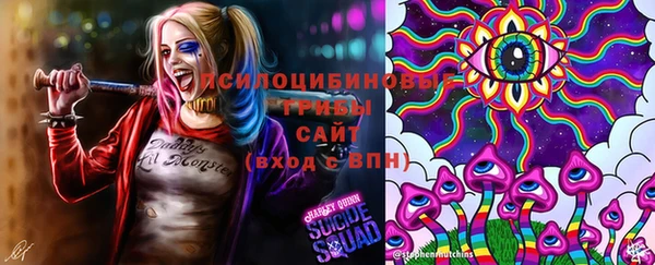 стафф Баксан