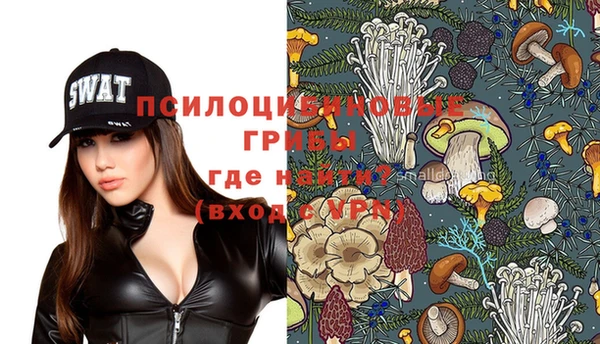 стафф Баксан