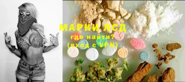 стафф Баксан