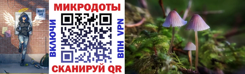 Галлюциногенные грибы Psilocybine cubensis Купить закладки Тосно